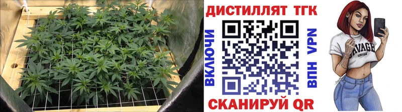 Дистиллят ТГК вейп с тгк  Дербент 