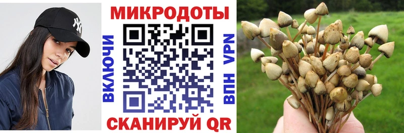 Псилоцибиновые грибы мухоморы  маркетплейс как зайти  Дербент  хочу наркоту 